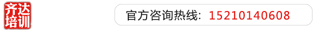 屌操骚屄~齐达艺考文化课-艺术生文化课,艺术类文化课,艺考生文化课logo